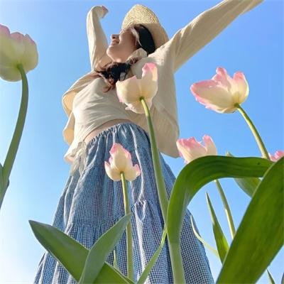 无敌当家6:明星贝多芬
